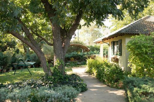Hostal Amira And George's Guest House