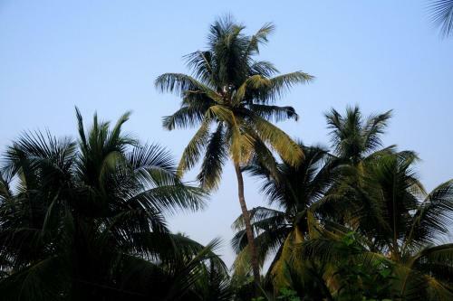 Hostal Sai Sneh Holidays Cottage