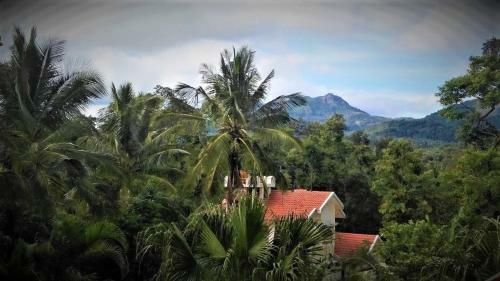 Kalyan Cool Villa - Chikmagalur