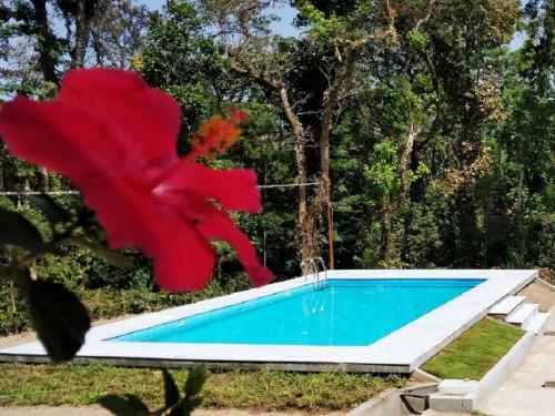 Kalyan Cool Villa - Chikmagalur