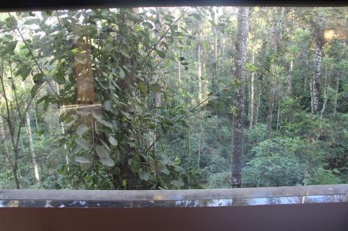 Serene Homestay