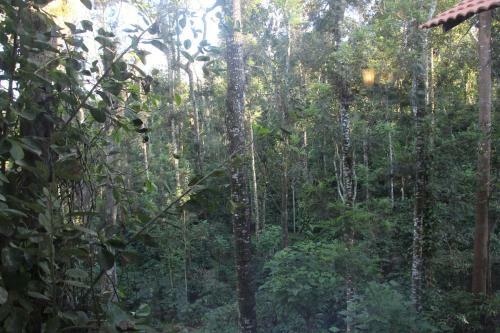 Serene Homestay