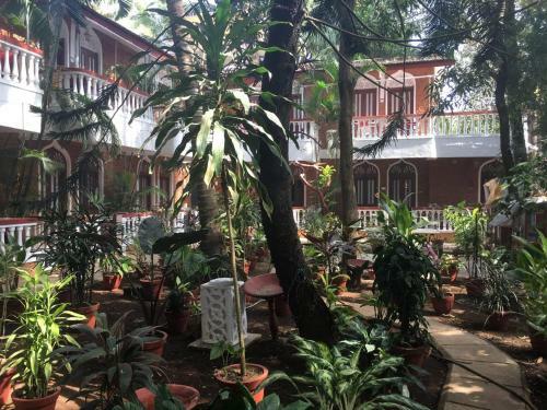 Bed & Breakfast Tropicano Beach Resort