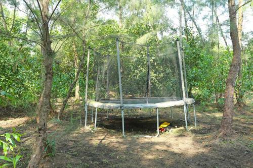 Oyo 10981 Hotel Jungle Camp