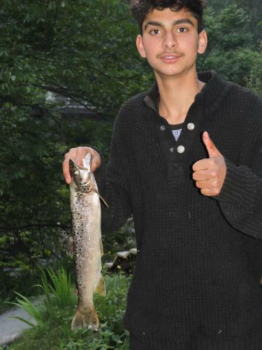 Great Himalayan Adventure Camping, Jibhi