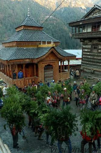 Great Himalayan Adventure Camping, Jibhi