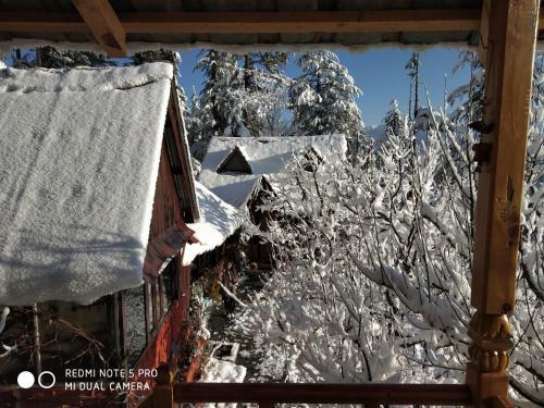 Ishan Log Huts Bahu