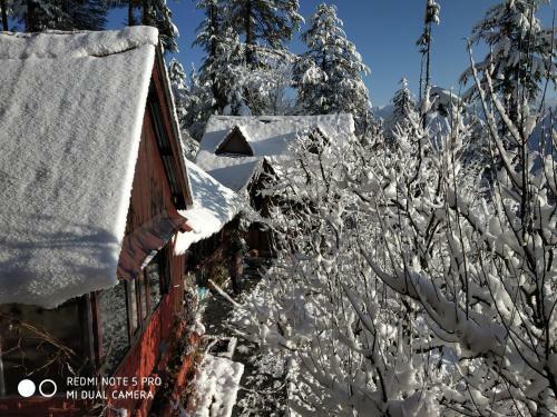 Ishan Log Huts Bahu