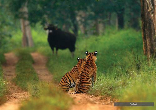 Hotel The Serai Bandipur