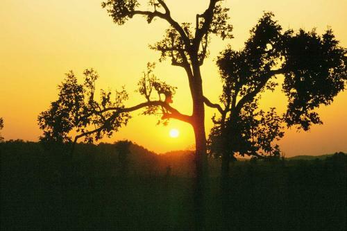 Hotel Junglemantra Resorts