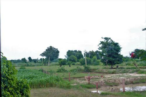 Hostal The Rohit Vilas Homestay