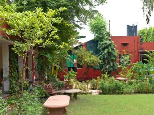 Jungle Lodge