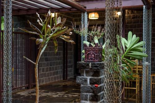 Villa Saffronstays Girijyot