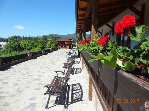 Hotel Alpenhof Pansion