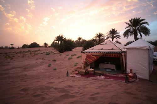 Bed & Breakfast Fibule Du Draa Kasbah D'h�tes