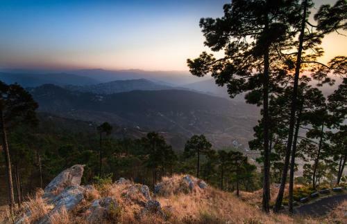Hotel The Kumaon