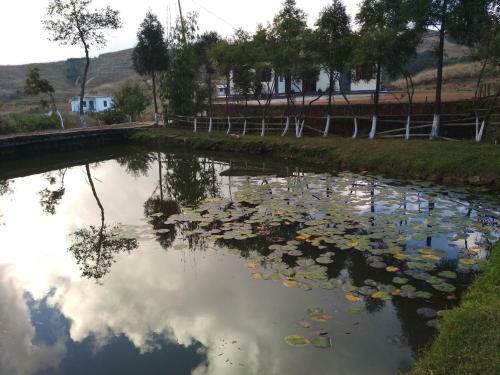 Hiraba Homestay