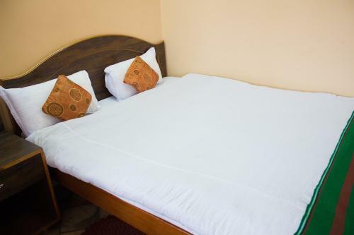 Hostal Pumpkin Cherish Guest House