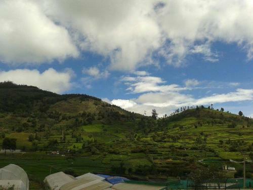 Nestcoonoor