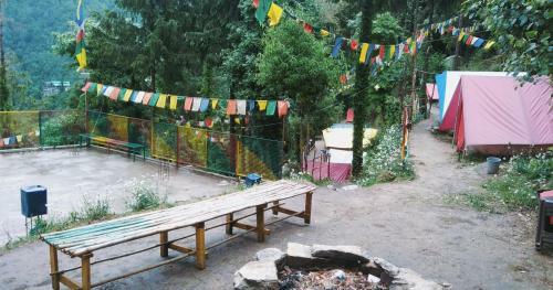Bed & Breakfast Camping & Outdoor Adventures - Nomadic Camp