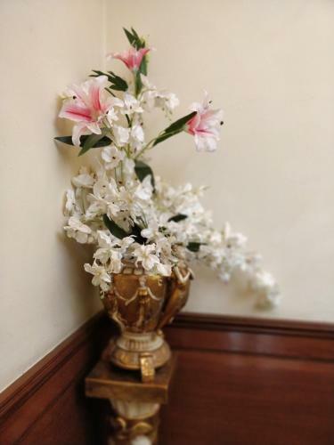 Hostal Pearl Premium Luxury Homes