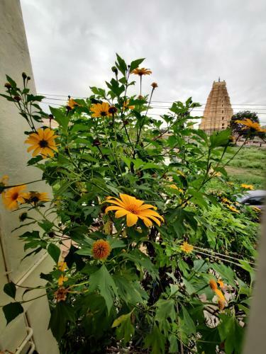Lodge Ranjana Guesthouse