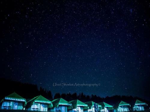 Gulmarg Meadows