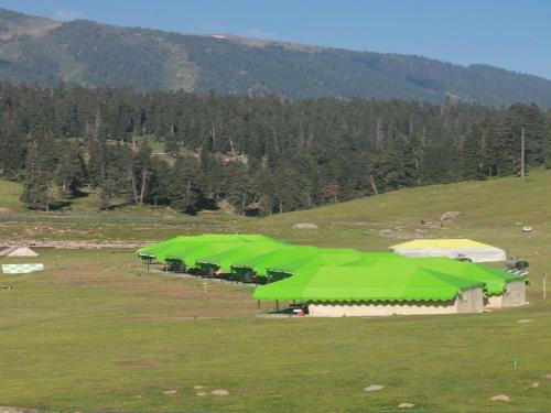Gulmarg Meadows