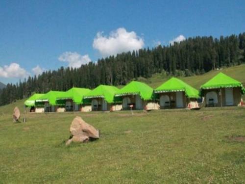 Gulmarg Meadows