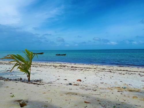 Hotel White Coral Beach Resort