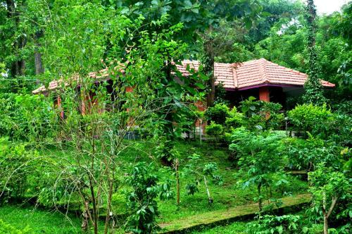 Hotel Wild Life Resort
