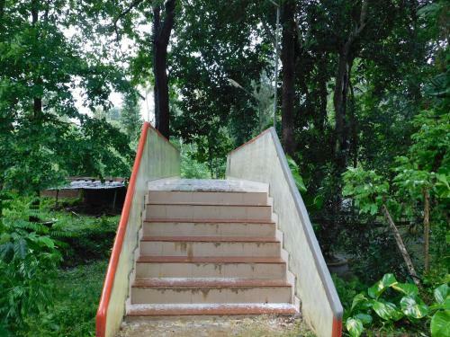 Hotel Wild Life Resort