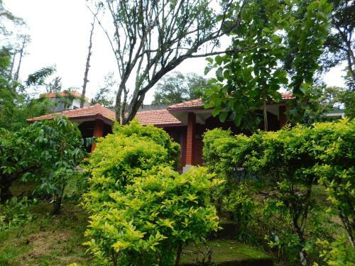 Hotel Wild Life Resort