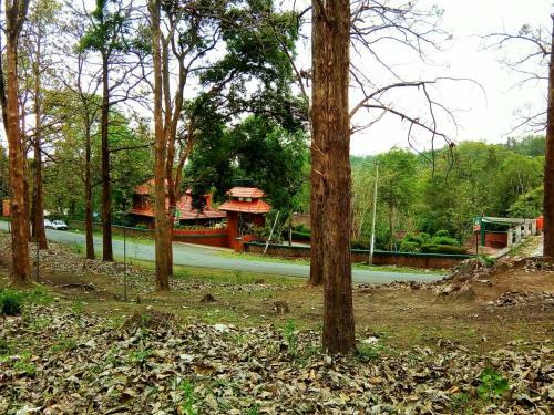 Hotel Wild Life Resort