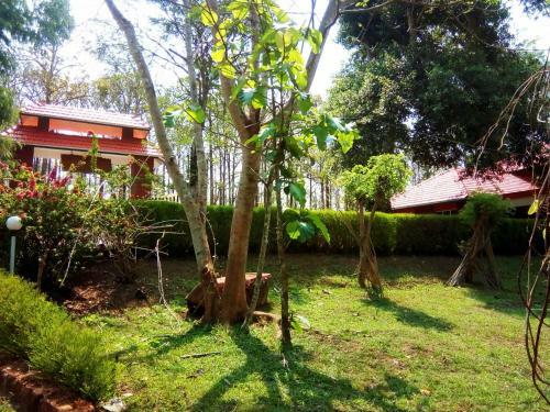 Hotel Wild Life Resort