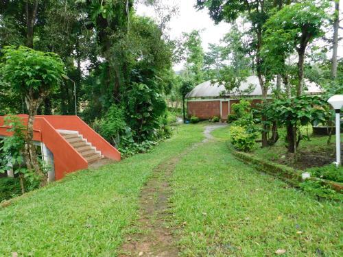 Hotel Wild Life Resort