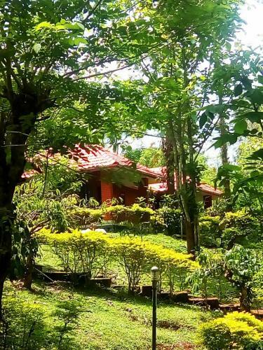 Hotel Wild Life Resort