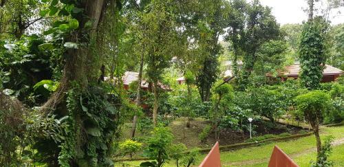 Hotel Wild Life Resort