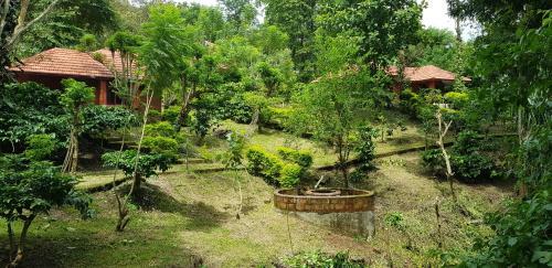 Hotel Wild Life Resort