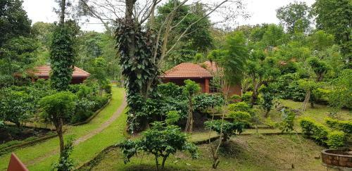 Hotel Wild Life Resort