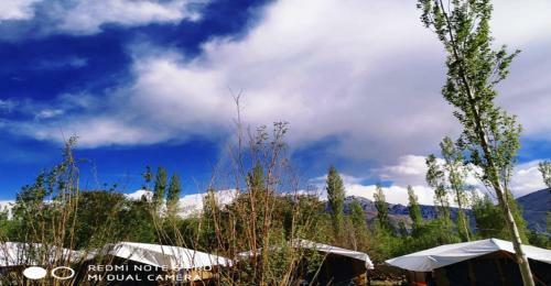Tih Nubra Delight Camp