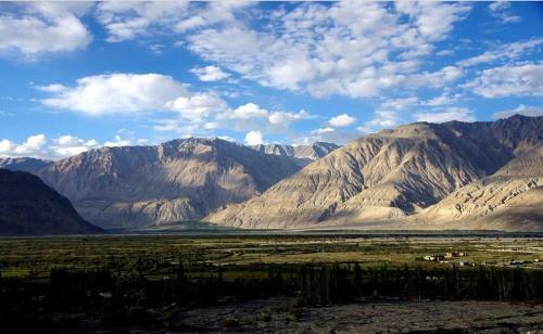 Tih Nubra Delight Camp