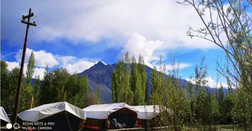 Tih Nubra Delight Camp