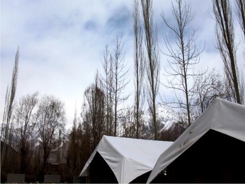 Tih Royal Desert Camp - Nubra