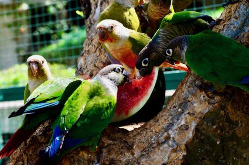 Hotel Manas Resort With Petting Zoo, Igatpuri