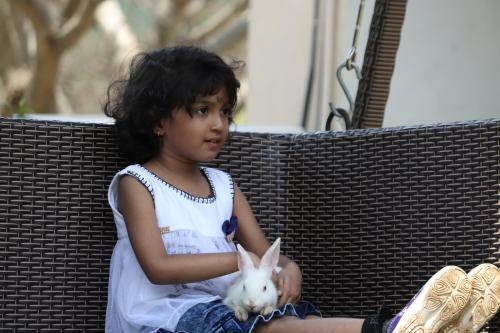 Hotel Manas Resort With Petting Zoo, Igatpuri