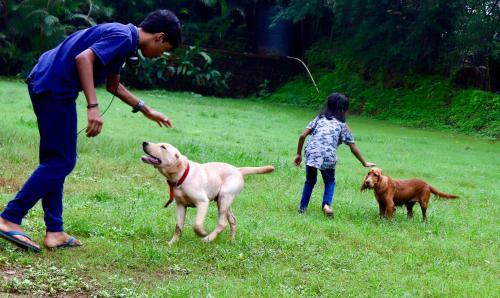 Hotel Manas Resort With Petting Zoo, Igatpuri