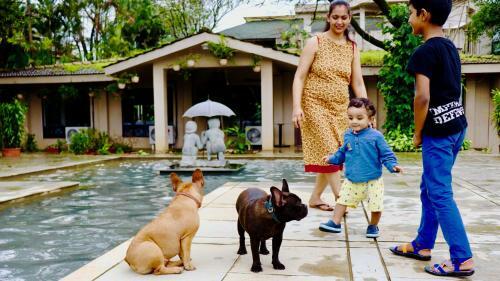 Hotel Manas Resort With Petting Zoo, Igatpuri
