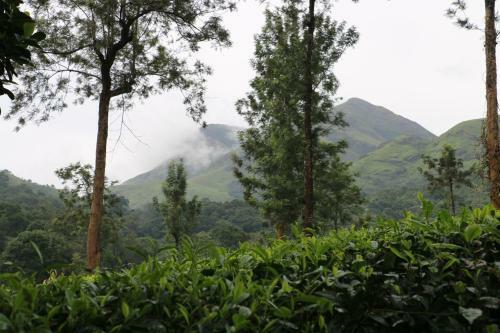 Green Garden Lotus Villa