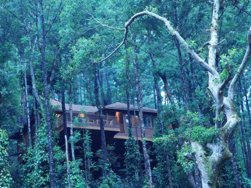 Hotel The Tamara Coorg